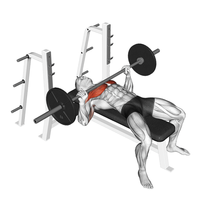 Exercice développe couché avec barre